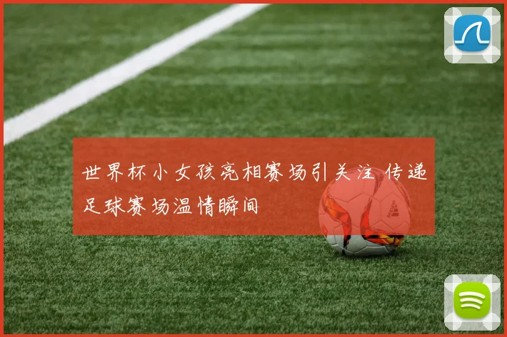 世界杯小女孩亮相赛场引关注 传递足球赛场温情瞬间
