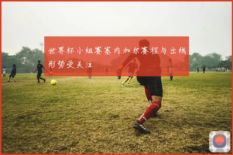 世界杯小组赛塞内加尔赛程与出线形势受关注