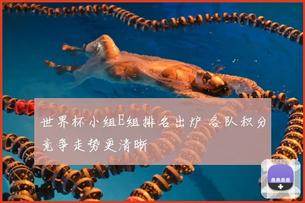 世界杯小组E组排名出炉 各队积分竞争走势更清晰