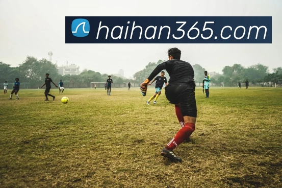 mksports在线登录入口平台生态图